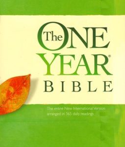 NIV One Year Chronological Bible