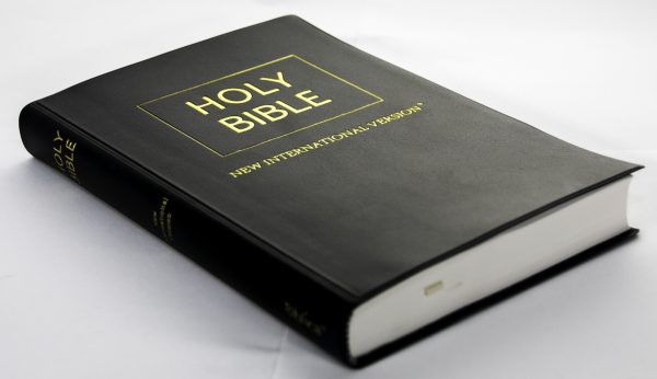 English Bible  NIV Compact Vinyl Cover