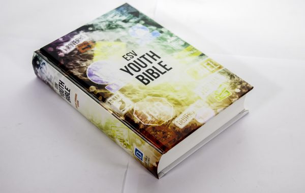 English Bible  English Standard Version Youth